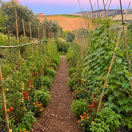 Poggio Farm stay *