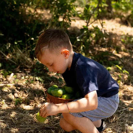Farm stay Poggio *